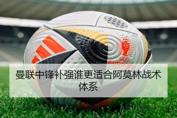 曼联中锋补强谁更适合阿莫林战术体系